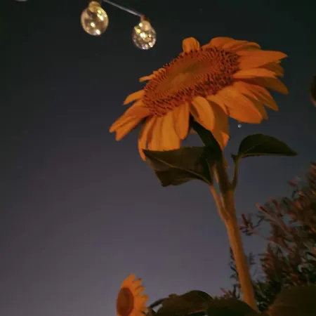 Albania Loft Хостел Тирана