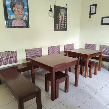 Albania Loft Auberge de jeunesse *