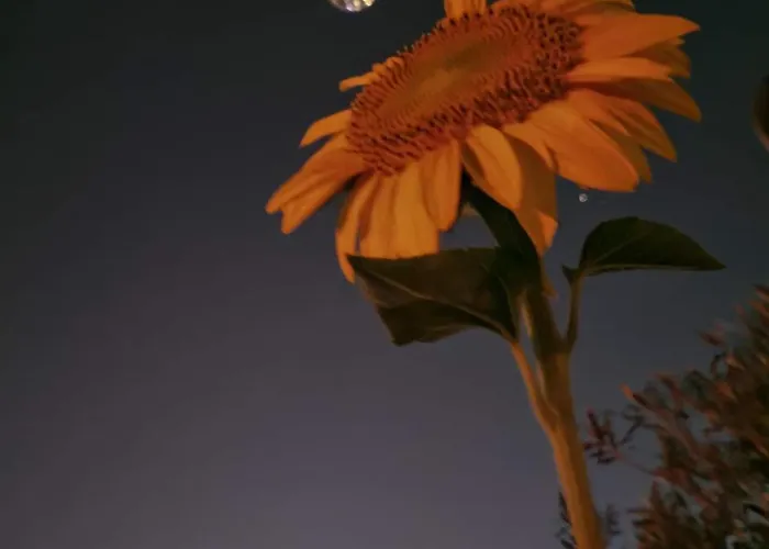 Albania Loft Hostel Tirana